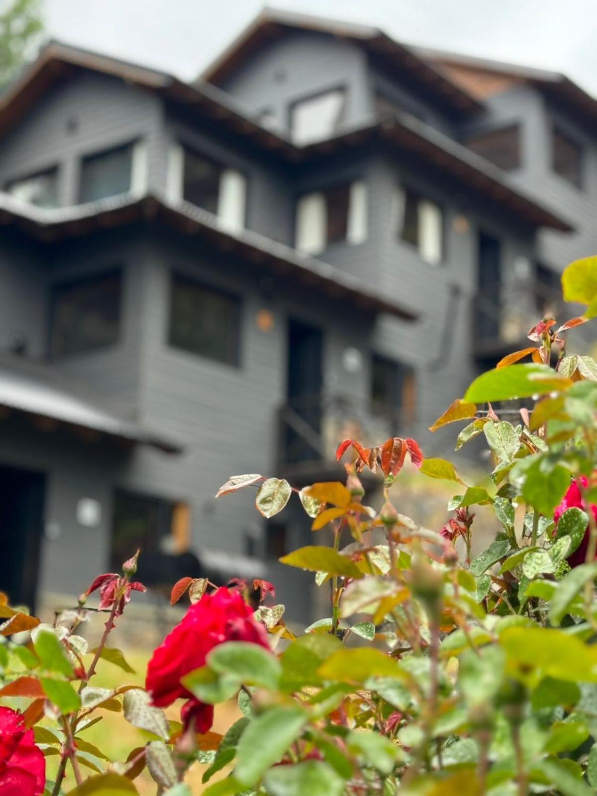 Huilen De Bandurrias Villa San Martín de los Andes Екстериор снимка