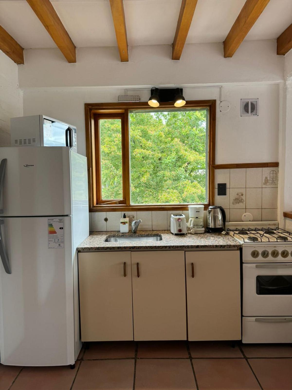 Huilen De Bandurrias Villa San Martín de los Andes Екстериор снимка
