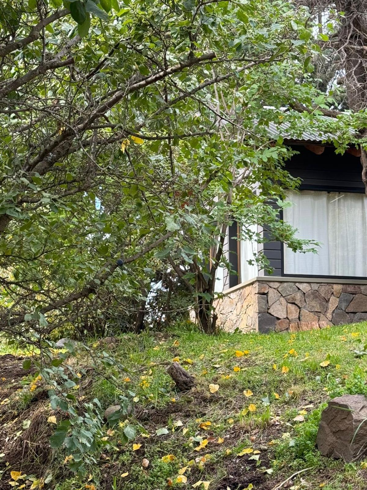 Huilen De Bandurrias Villa San Martín de los Andes Екстериор снимка